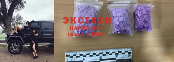 молекула духа Снежногорск