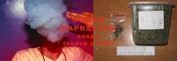 шишки Семёнов