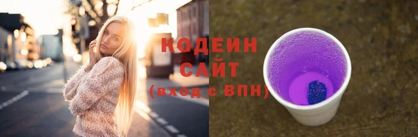 молекула духа Снежногорск
