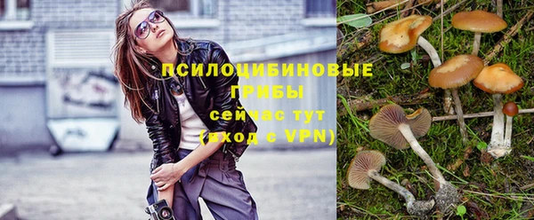 a pvp Семикаракорск