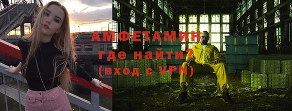 молекула духа Снежногорск