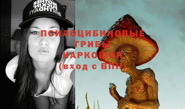шишки Семёнов