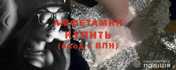 молекула духа Снежногорск