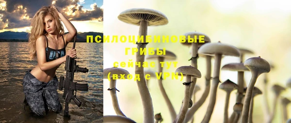 шишки Семёнов