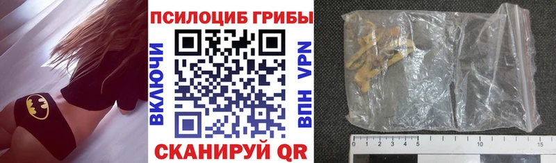 Купить закладки  Лаишево  Галлюциногенные грибы прущие грибы 